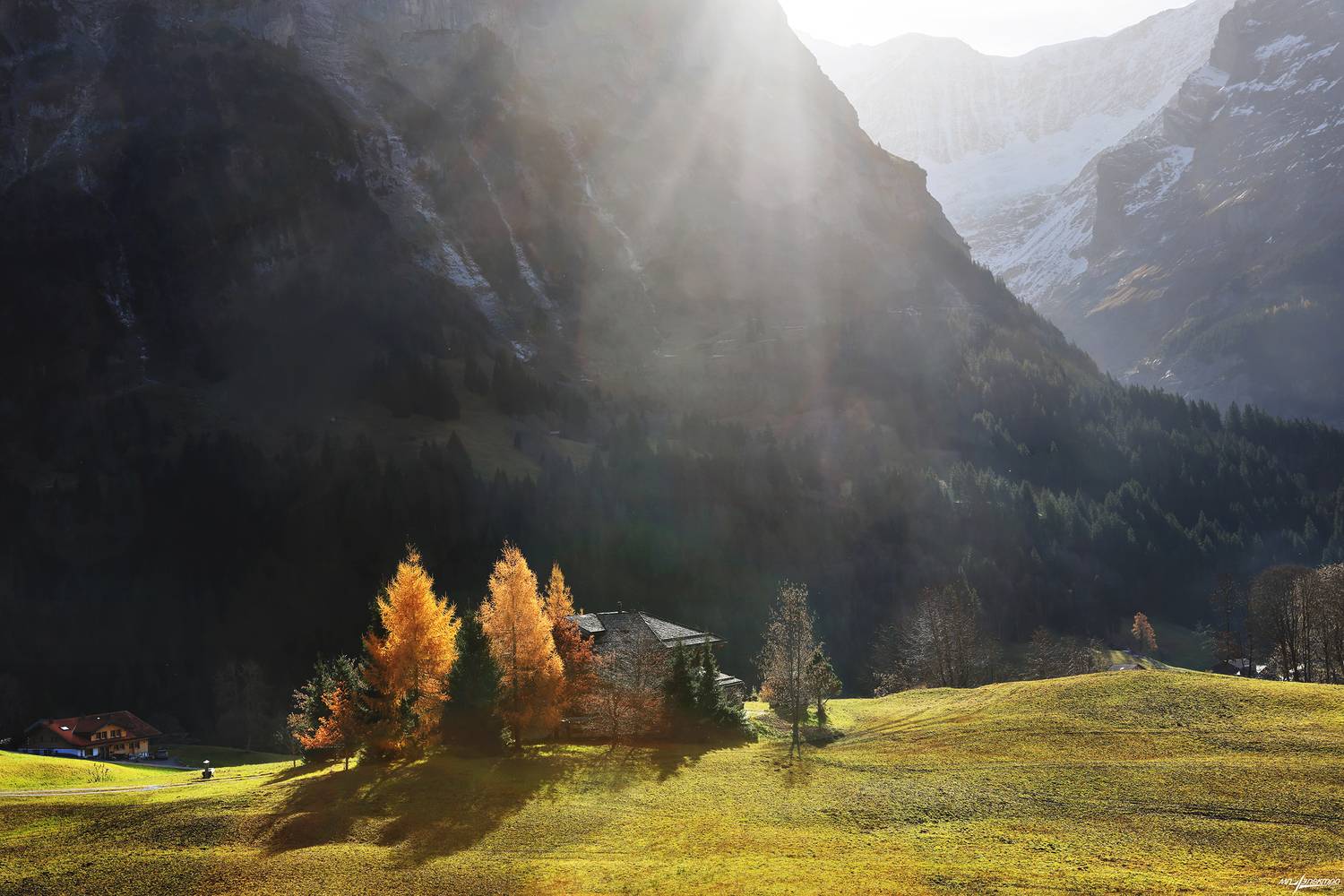 swiss, Матвеев Николай