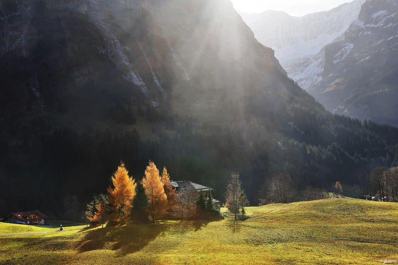 swiss Вариации на тему утро... фото превью