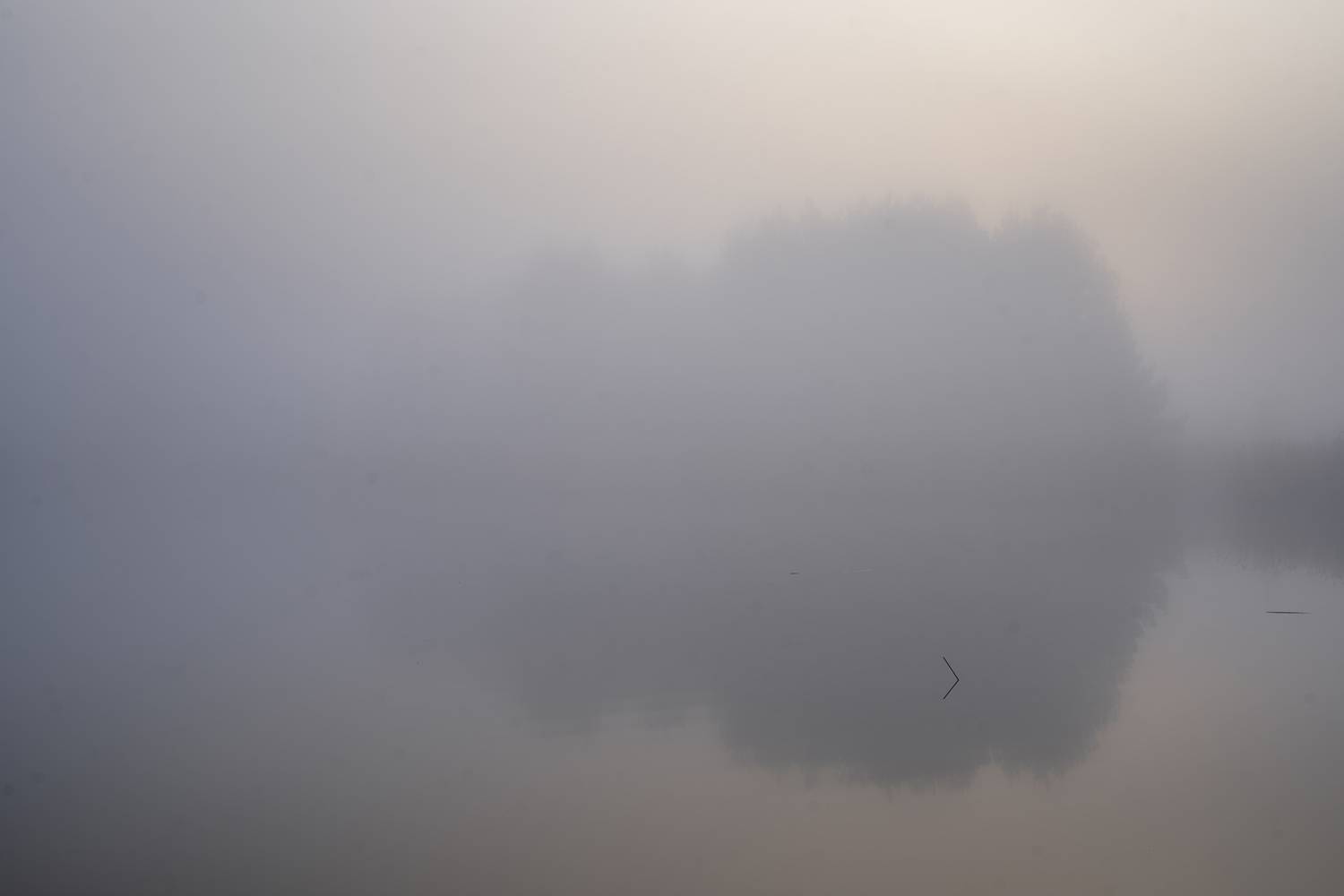 lake, mist, morning, Eugenijus Rauduve