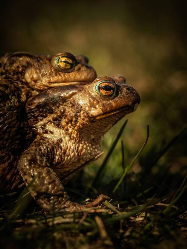 Покатушки фото превью
