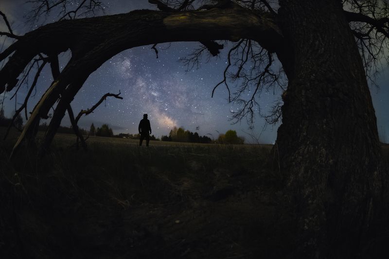 Апрельская ночь фото превью