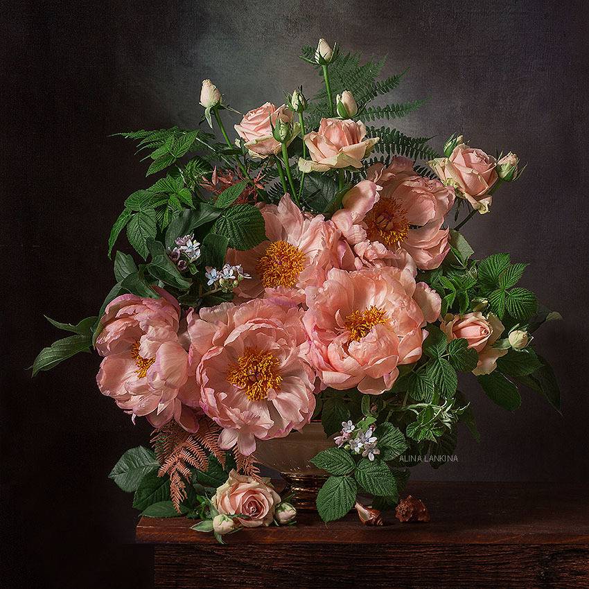 , Алина Ланкина