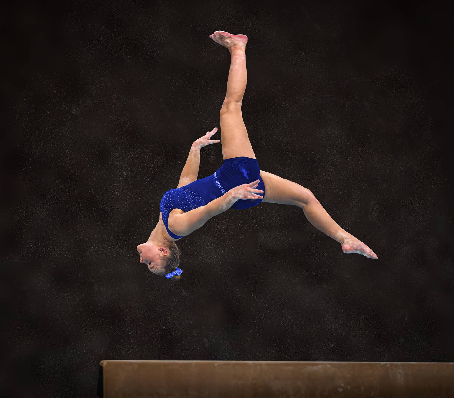 gymnastics, sports, sports_photography, Leach Eddie