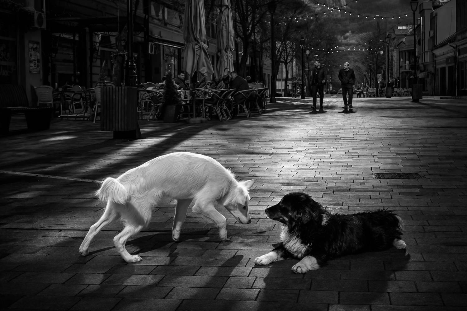 , Шилов Александр