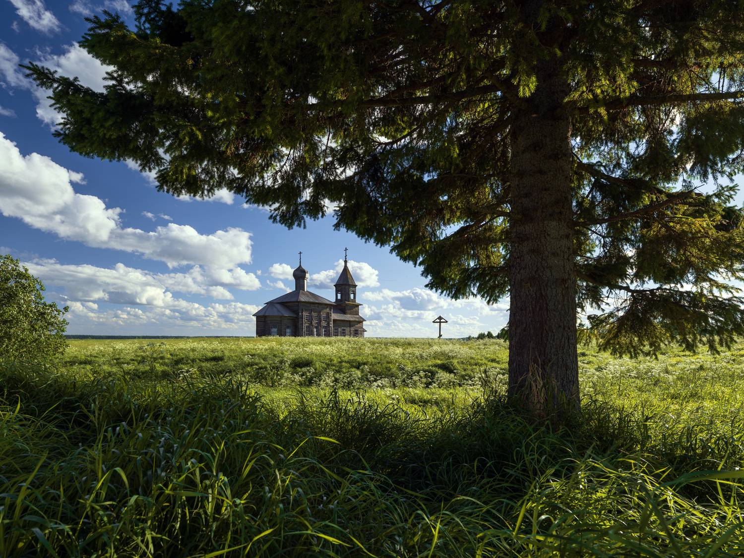 большая нисогора, мезень, лешукония, лешуконское, архангельская область, лешуконье, Олег Зверев
