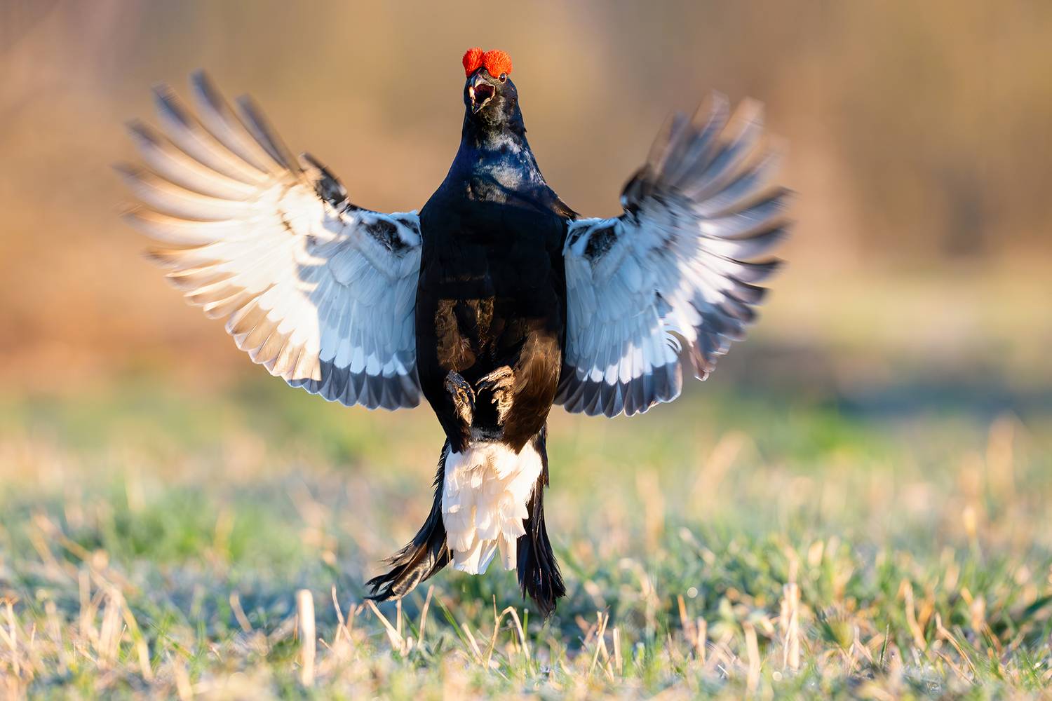 , Сумников Алексей