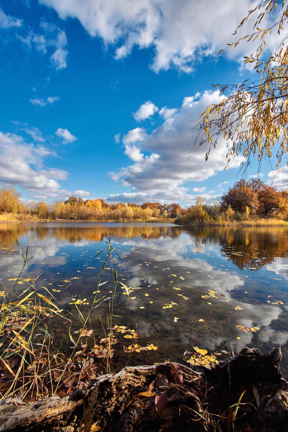 озеро, осень, волгоград, Павел Сторчилов