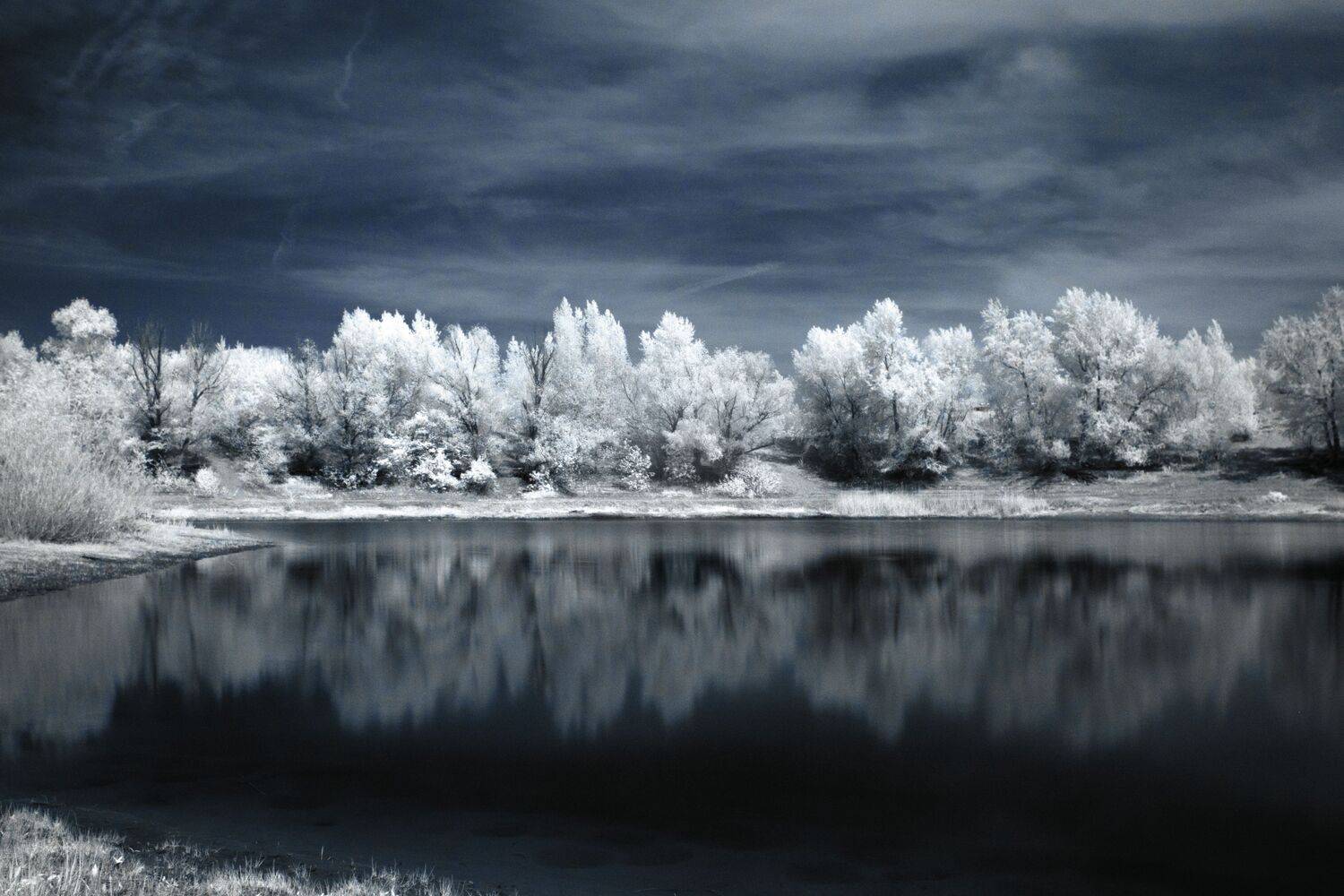 инфракрасная фотография, озеро, волгоград, Павел Сторчилов