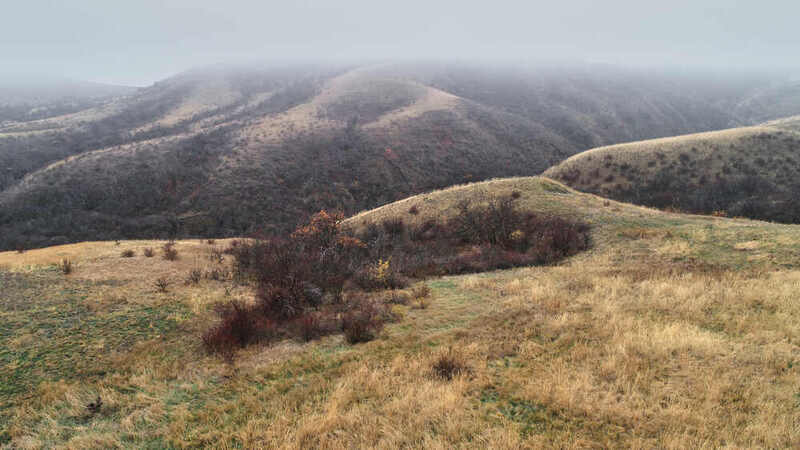меловые горы, волгоград, волгоградская область Меловые горы фото превью