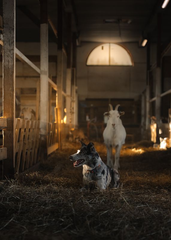 На работе фото превью