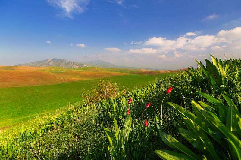 кыргызстан Фонарики весны фото превью