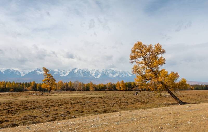 республика алтай, северочуйский хребет  фото превью