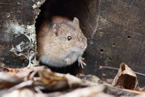 Что там, за порогом?..