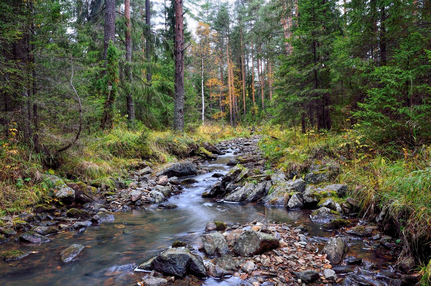 , Vladim Bormotov