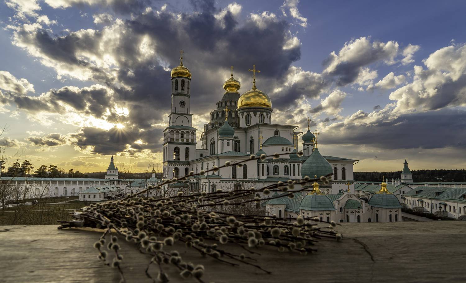 Москвская область, Истра, Воскресенский Ново-Иерусалимский ставр, верба, Гаврилов Юрий