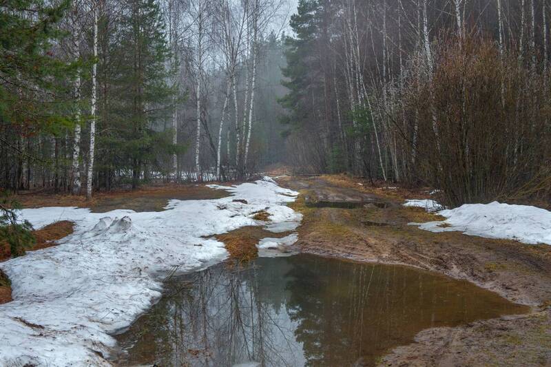 пейзаж, апрель, дорога, лес, опушка, начало, с Снова весна фото превью