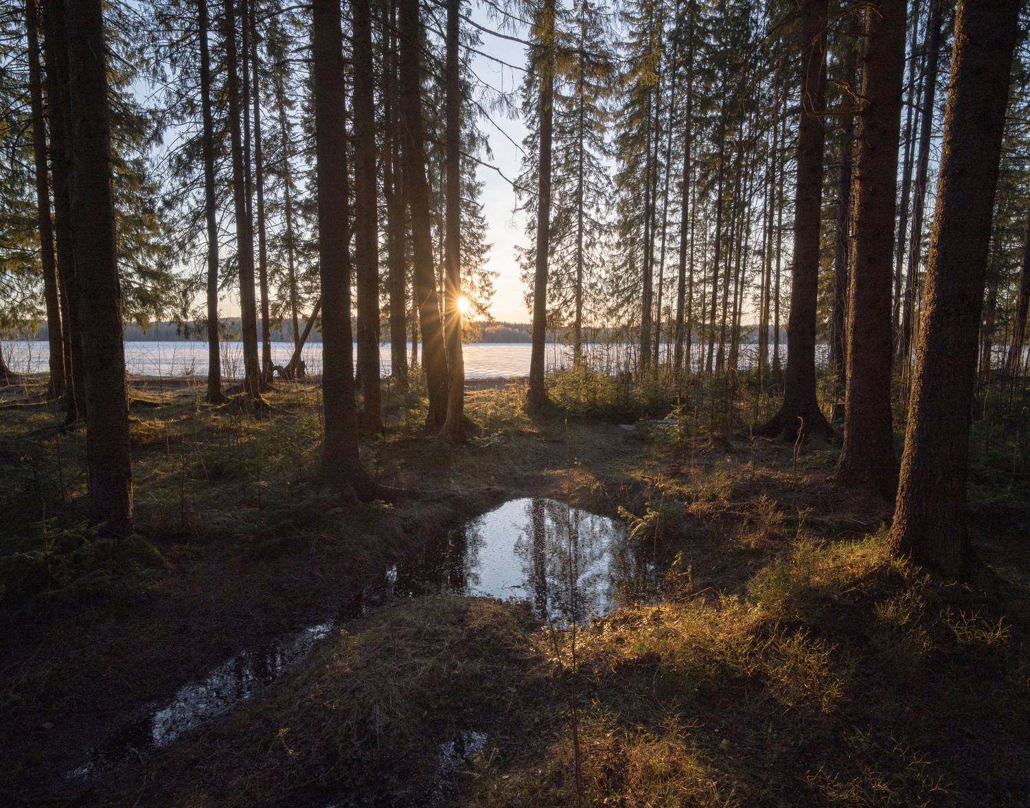 , Карепанов Евгений