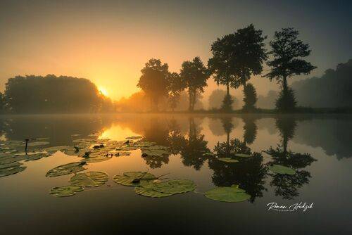 Dawn.