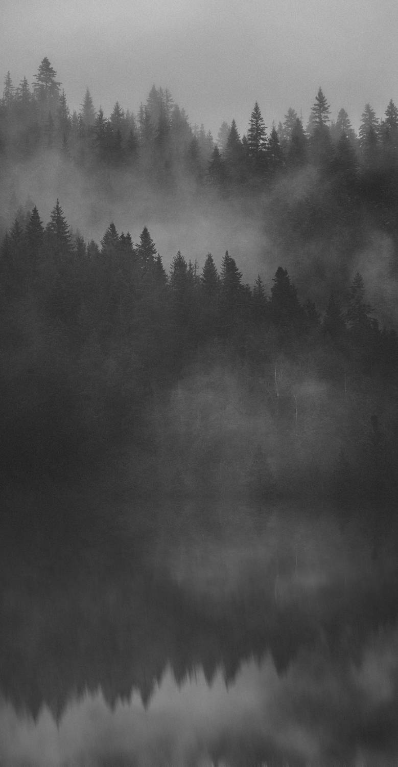 пейзаж, черно-белое, чб, монохром, туман, лес, вода, отражение, тишина, атмосфера, меланхолия, минимализм, природа, деревья, силуэты, озеро, река, утро, мрачно, таинственно, графика, настроение, Олег Сухенко