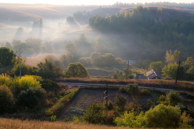 осень, холмы, туман На Пронских холмах фото превью