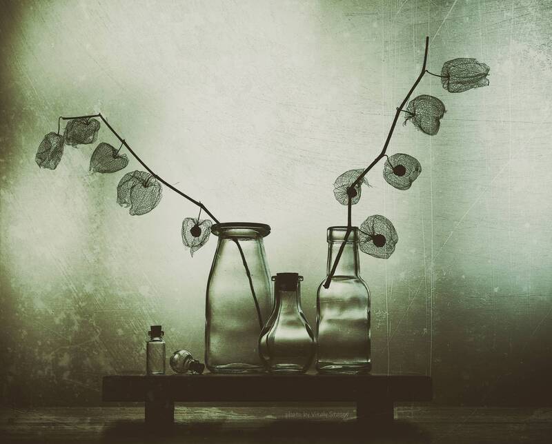 стекло и физалис, фантазия в натюрморте, натюрморт Стекло и физалис фото превью
