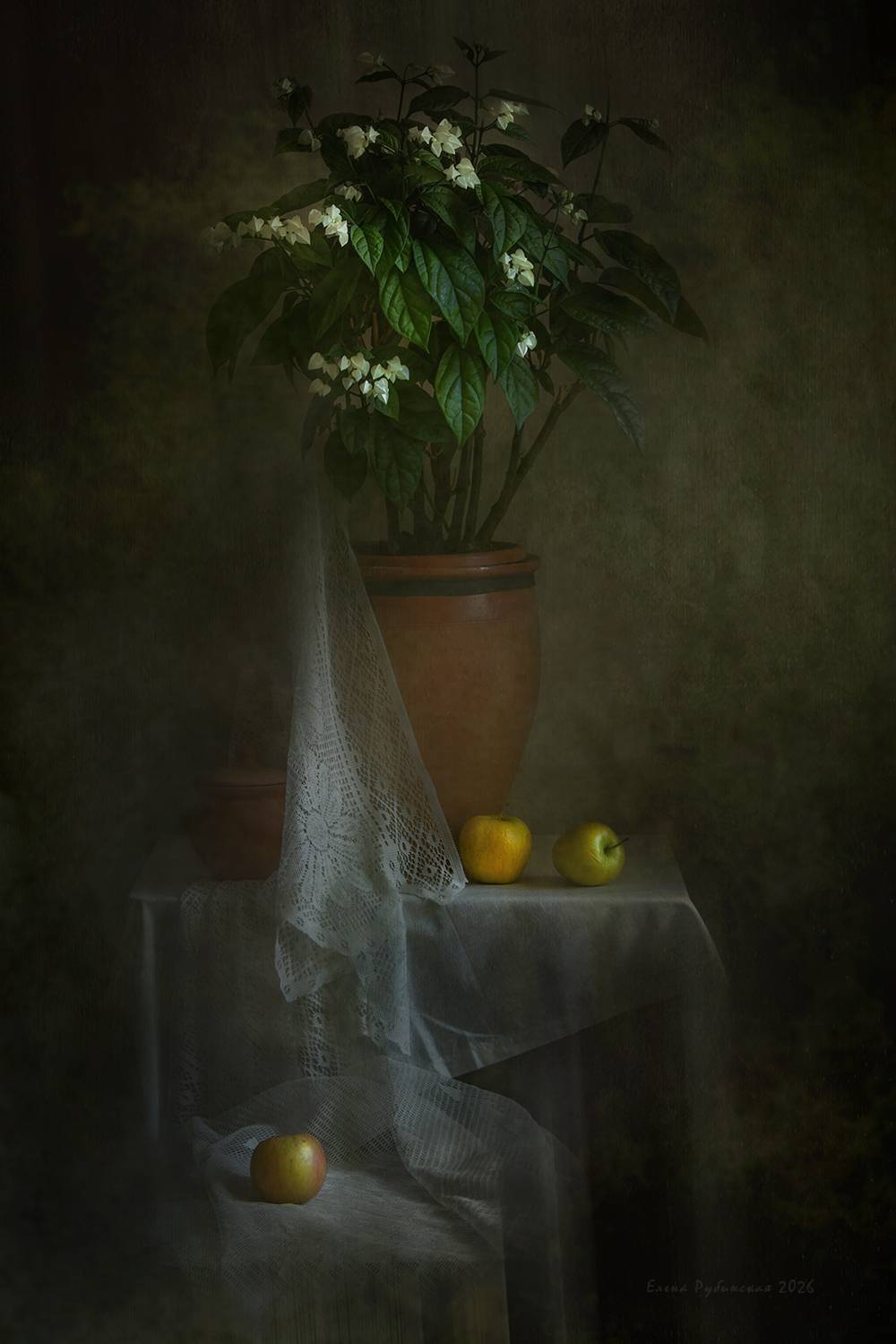 , Елена Рубинская