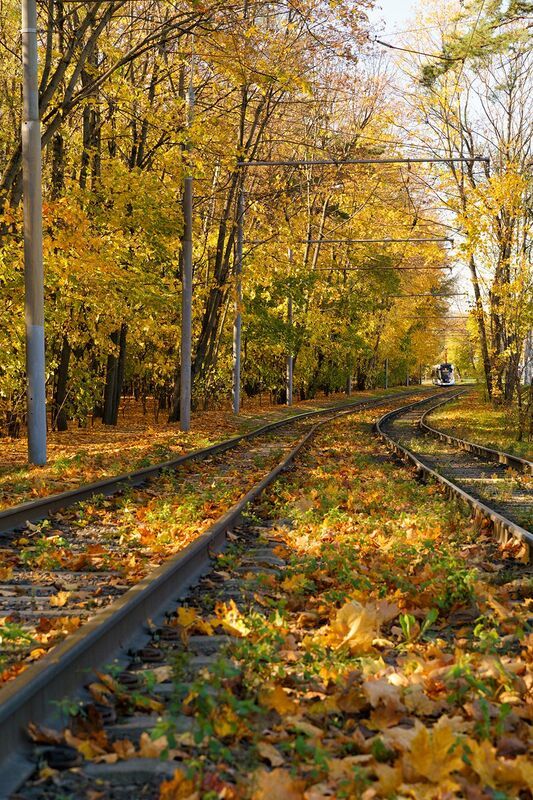 Россия, Москва, трамвай, осень Осень в Москве фото превью