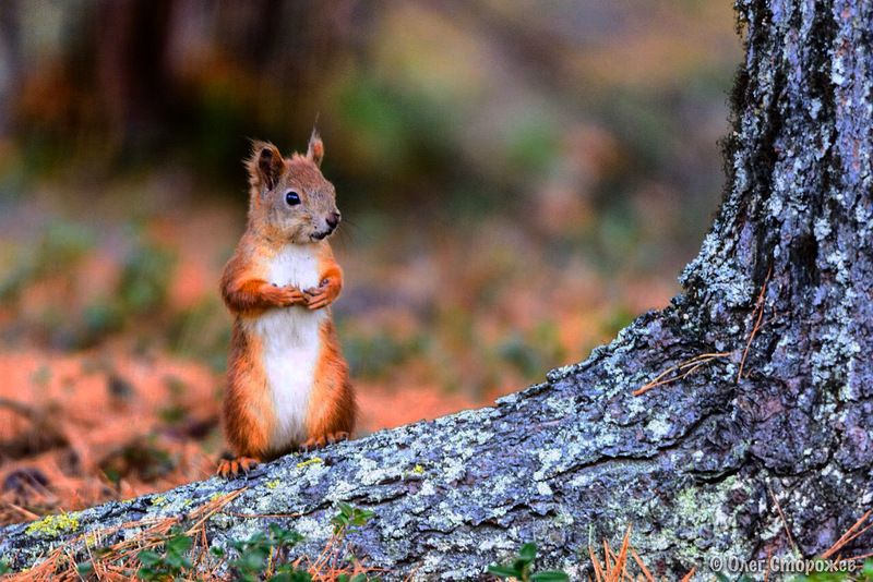 Поговорим? фото превью