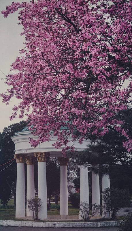 Весна в городе. фото превью