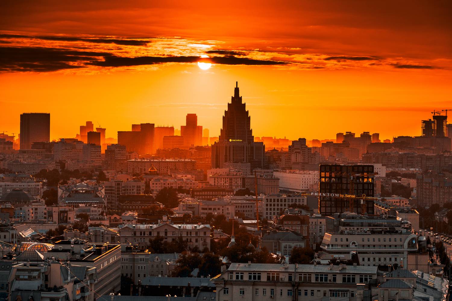 , Трепольский Дмитрий