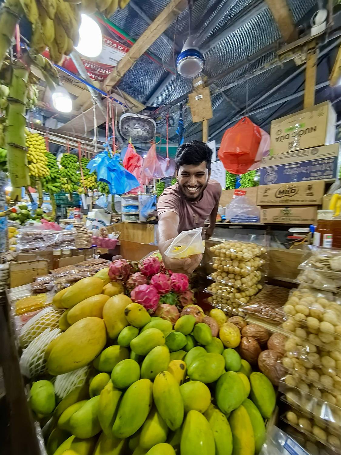 , Орлова Ксения