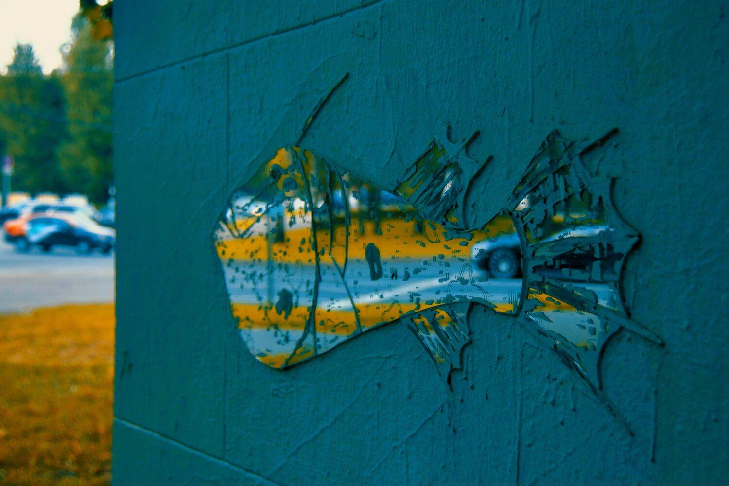 , Орлова Ксения