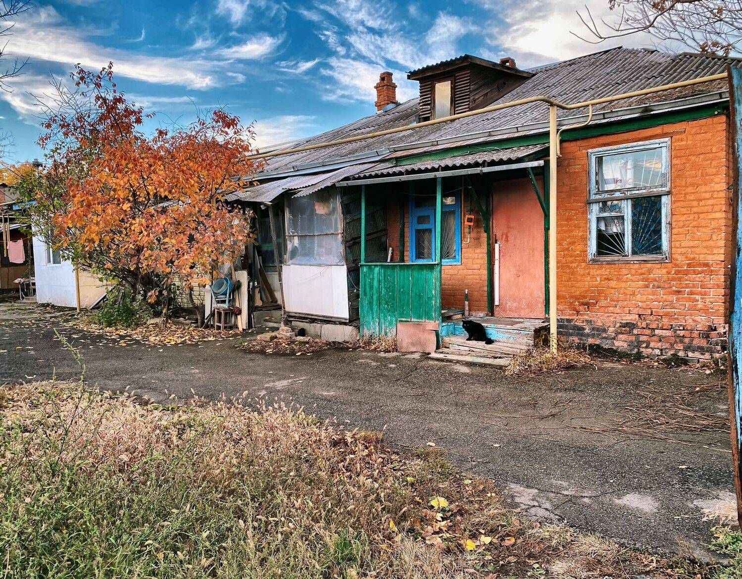 , Орлова Ксения