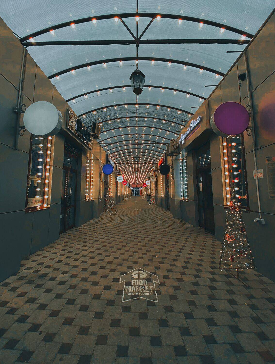 , Орлова Ксения