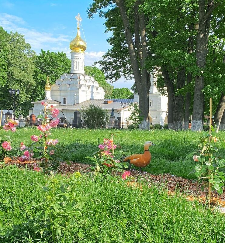 Донской монастырь  фото превью