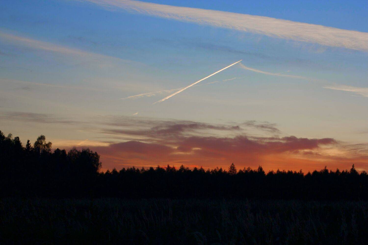 , Орлова Ксения