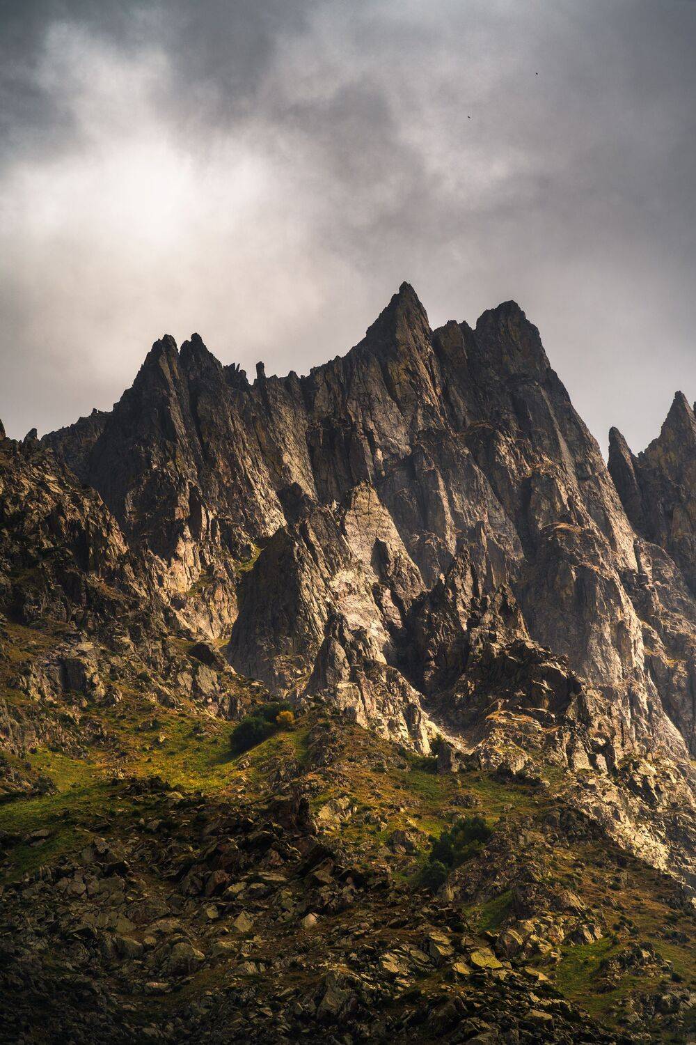 , Вукотић Никола