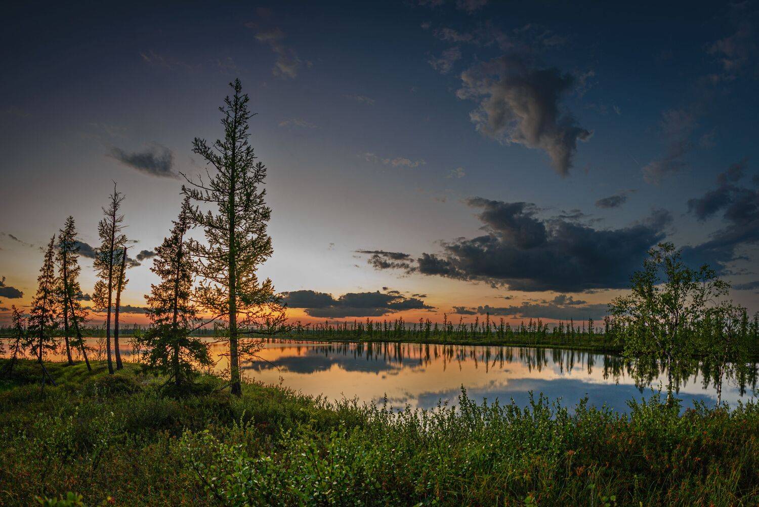 закат, небо, облака, берег, озеро, отражение, деревья, тундра, ямал, янао, надым, Сторожев Олег
