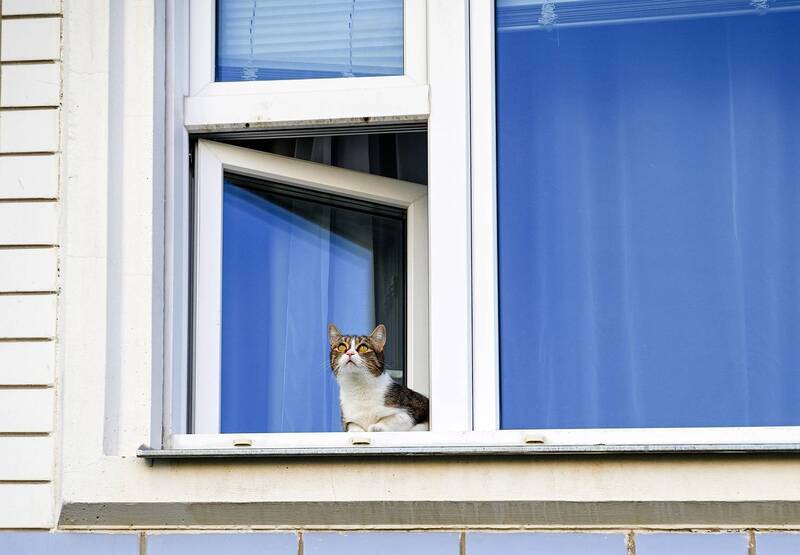 А мне летать охота фото превью