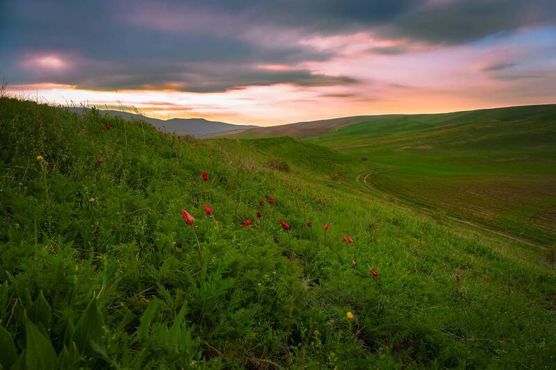 кыргызстан Краски апреля фото превью