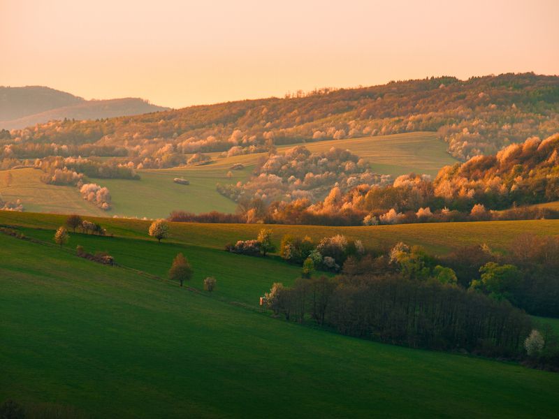 spring, slovakia, meadows, golden, light, golden light, bloom, forest, landscape Spring evening фото превью