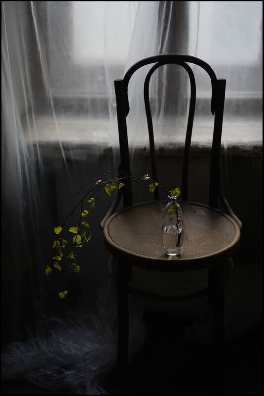 Вечерний весенний фото превью