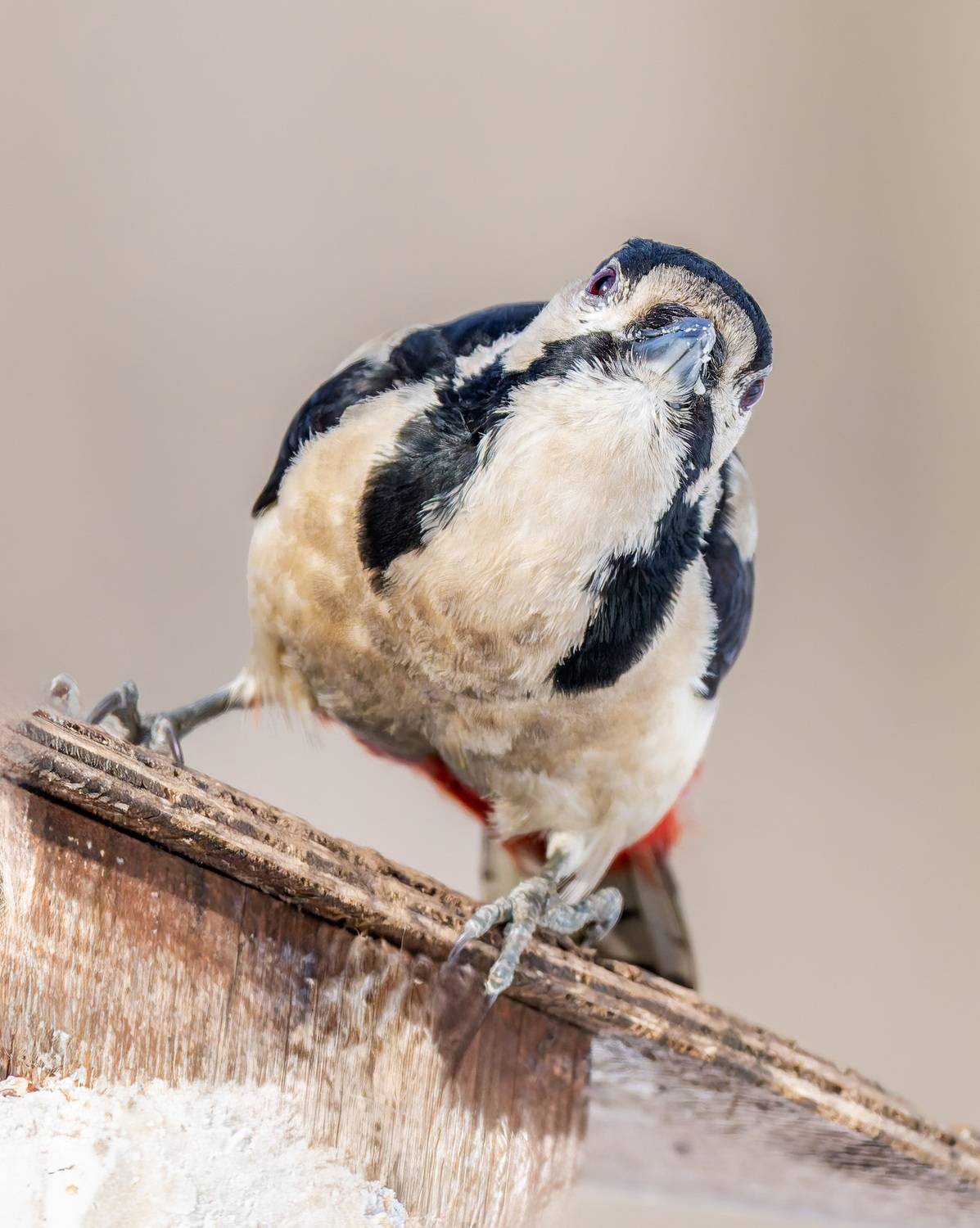 , Дем Константин