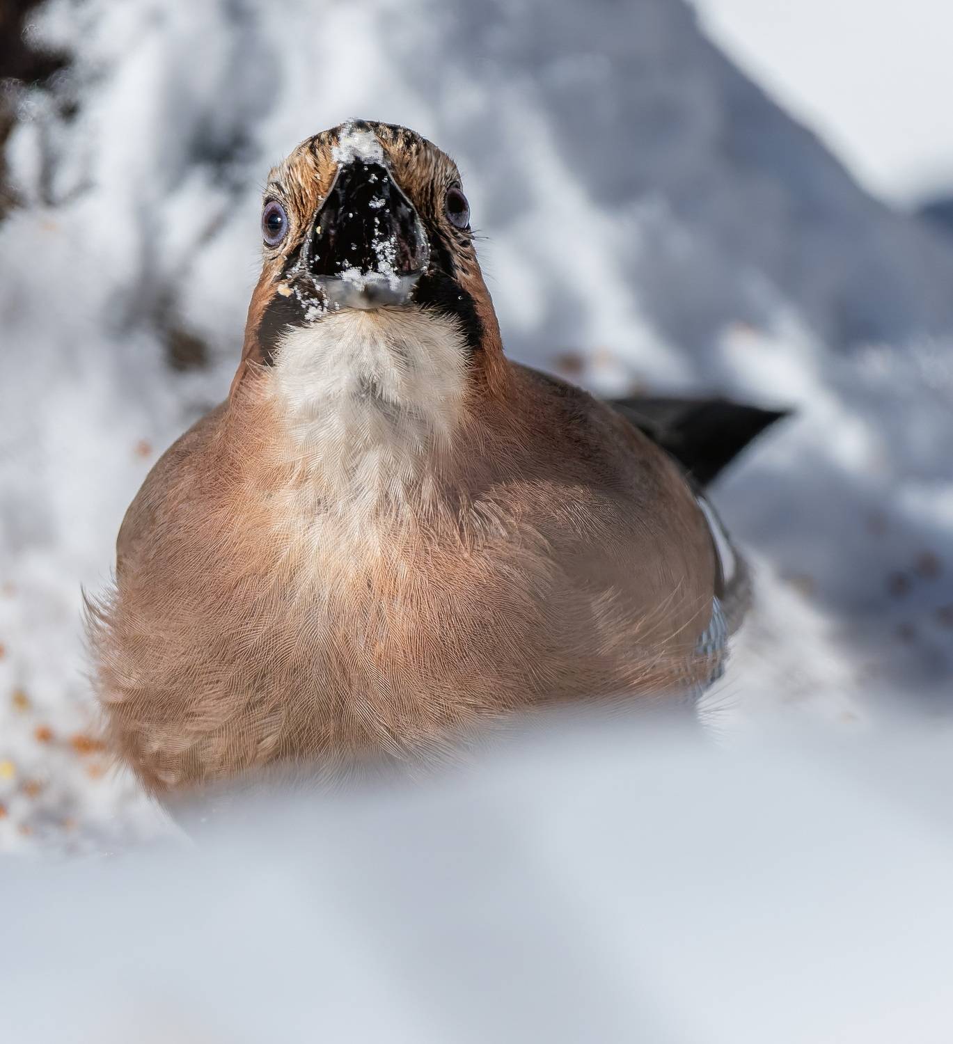 , Дем Константин