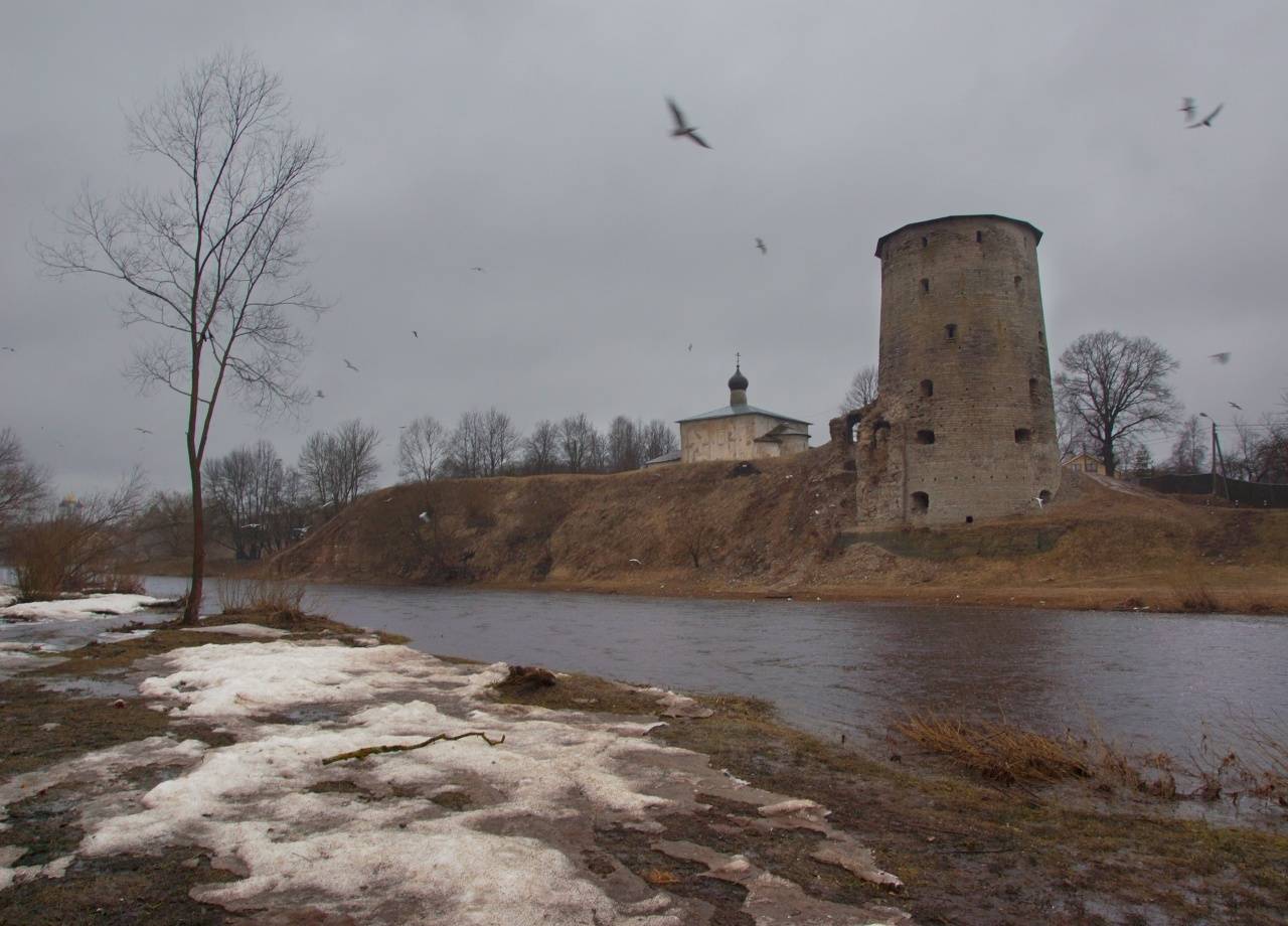 , Петр Косых