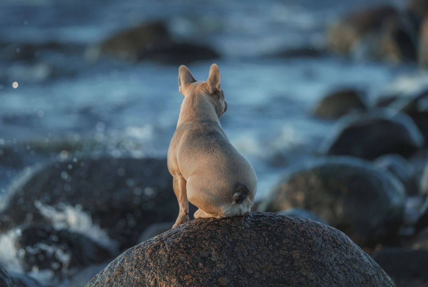 , Зубкова Юлия