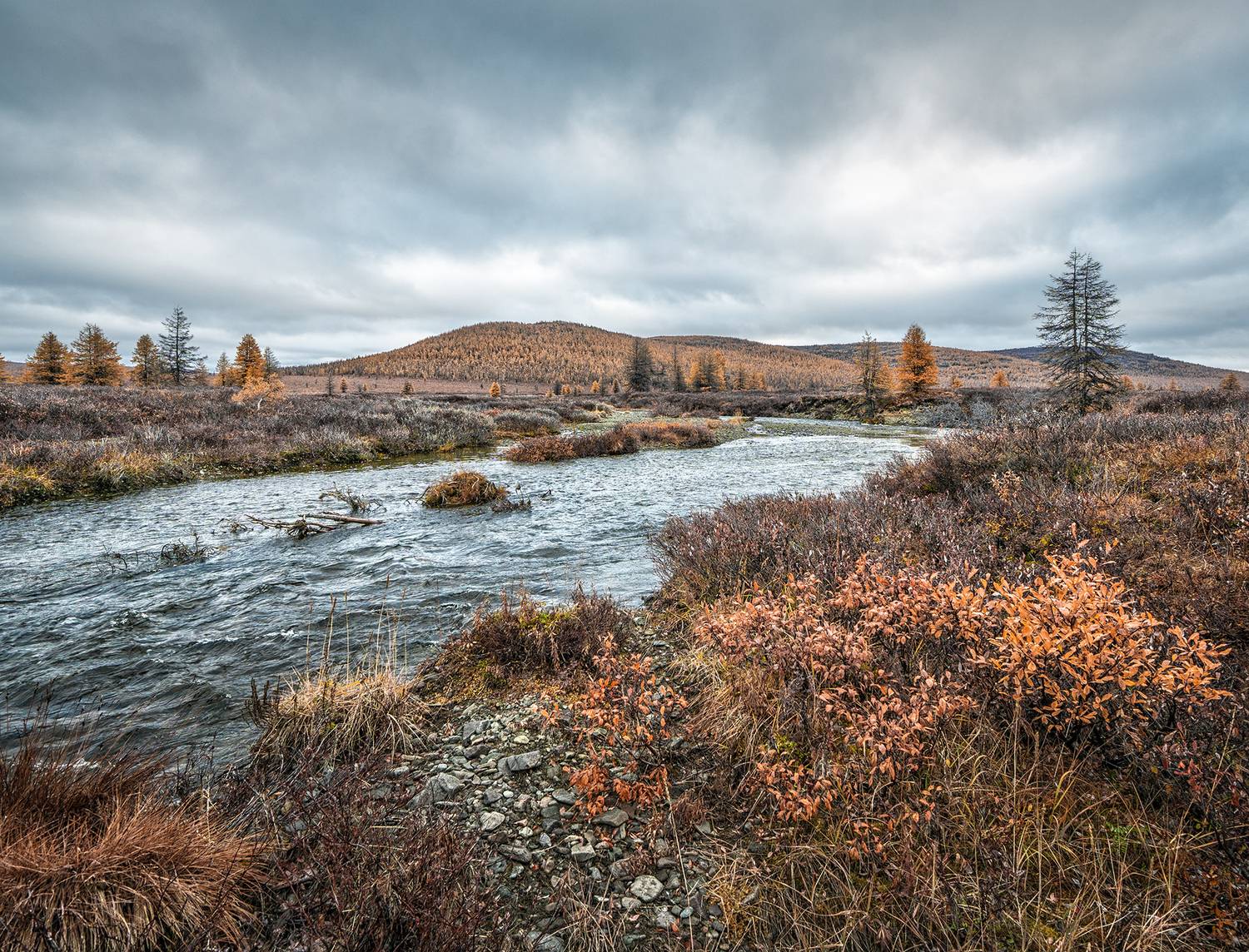 , Андреев Николай