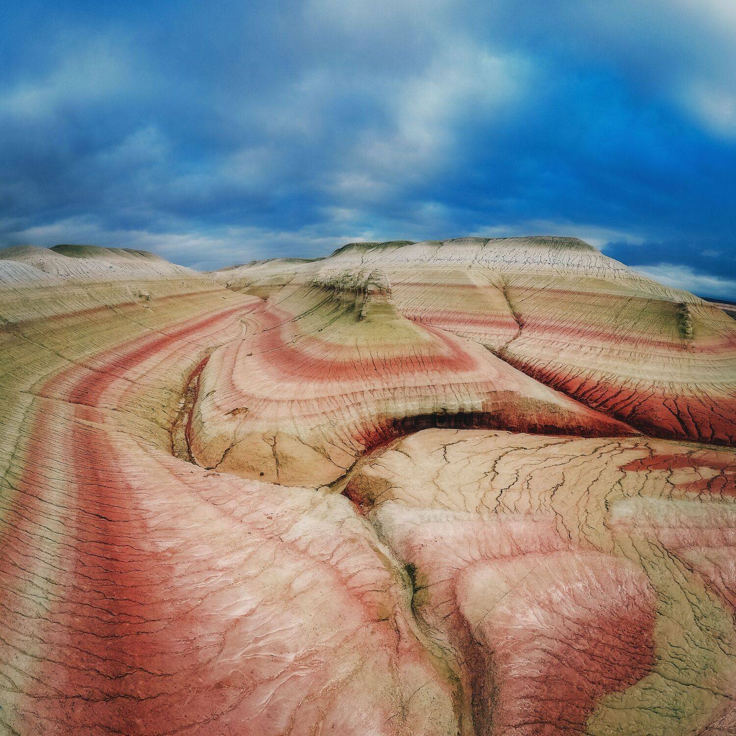 Тирамису, казахстан, Кызылкуп, Андрей Пучков