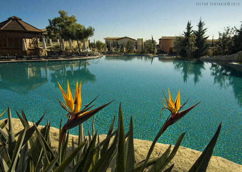 Фотография с отдыха... фото превью