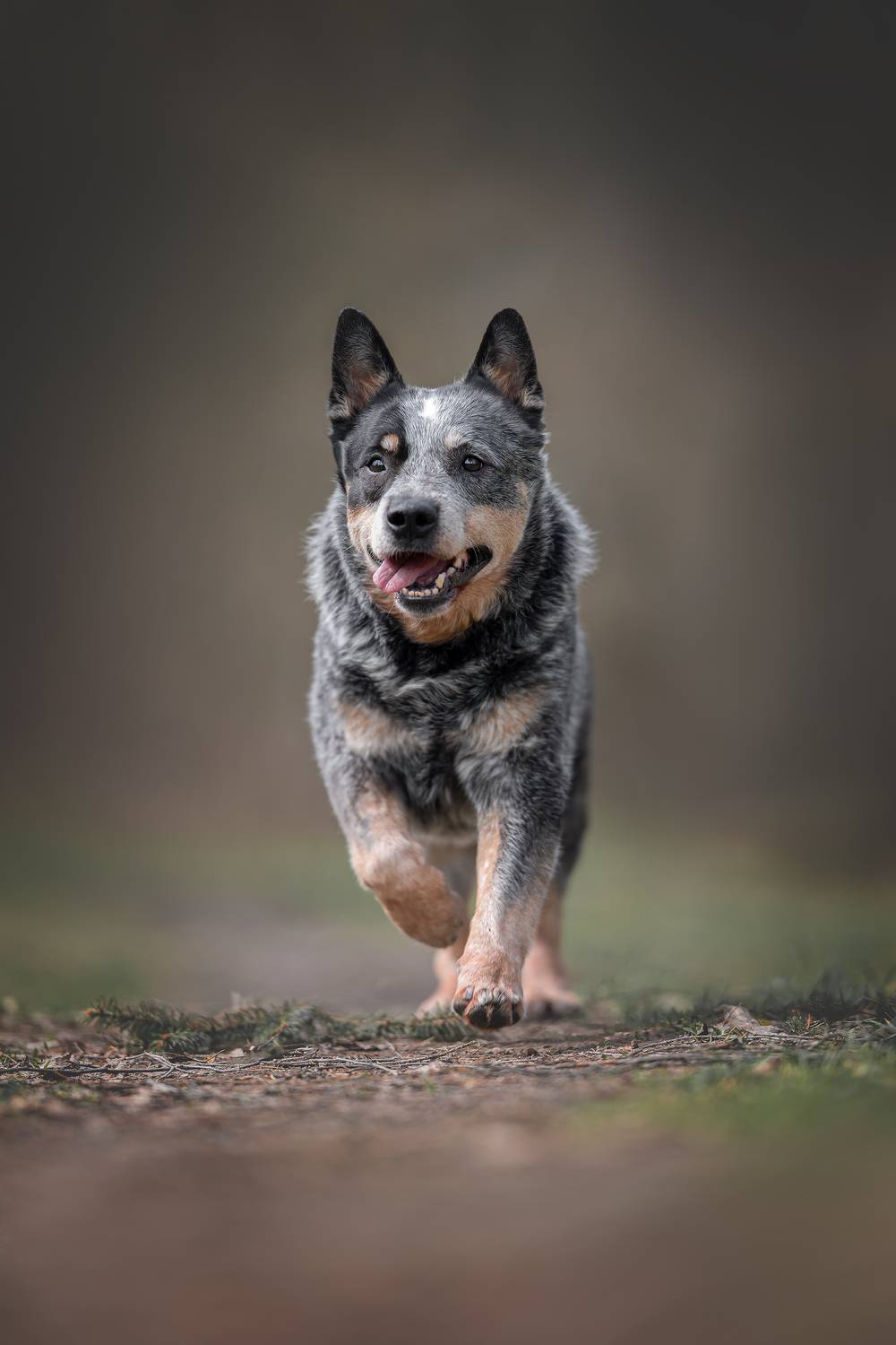 , Гончар Юлия